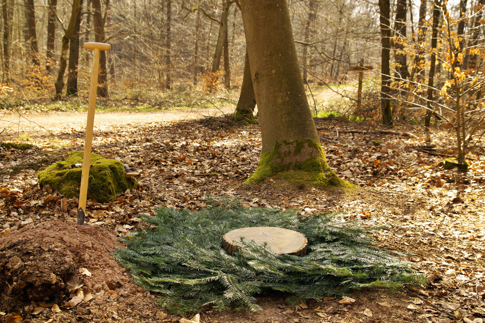 Natural Burial