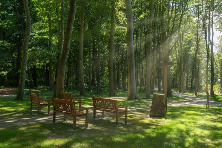 Natural burial