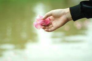 Water cremation