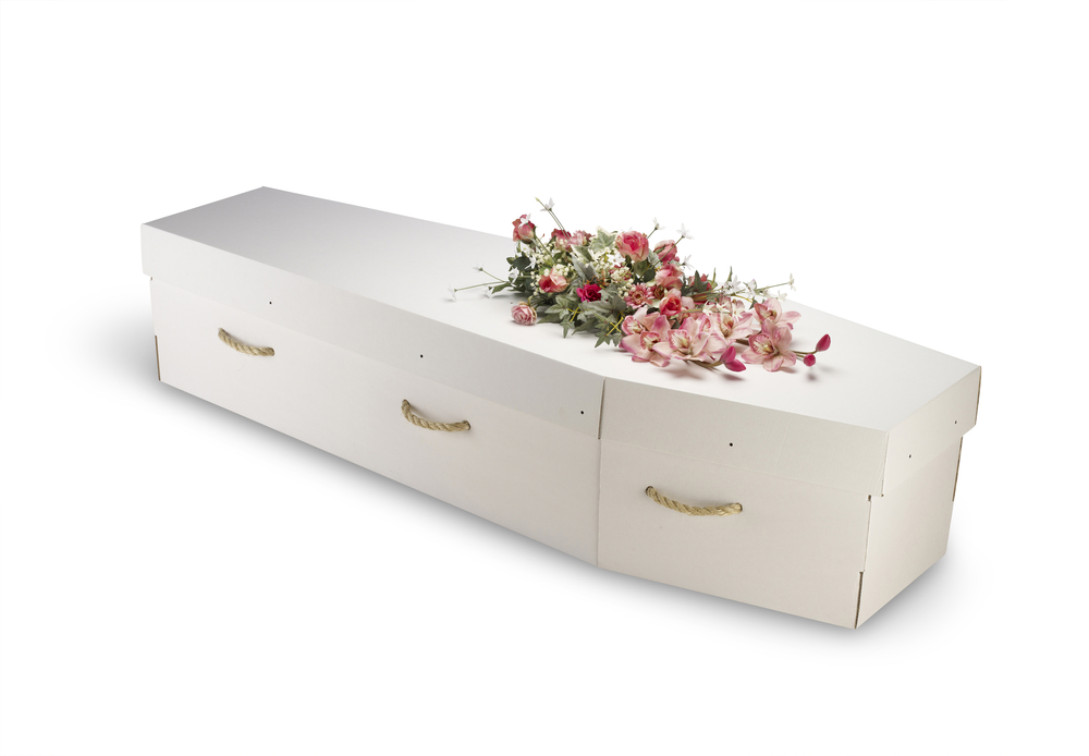 Simple cardboard coffin